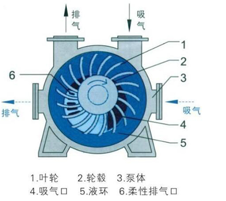 水環(huán)式真空泵工作原理圖